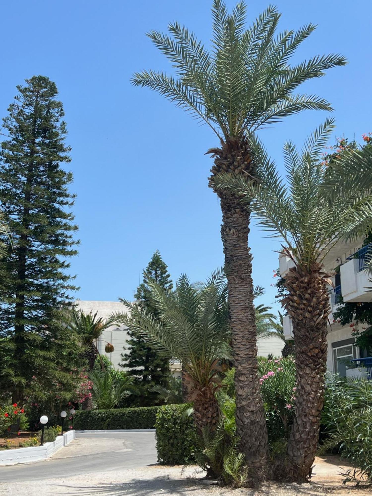 Gorgona Hotel Amoudara  Exterior photo